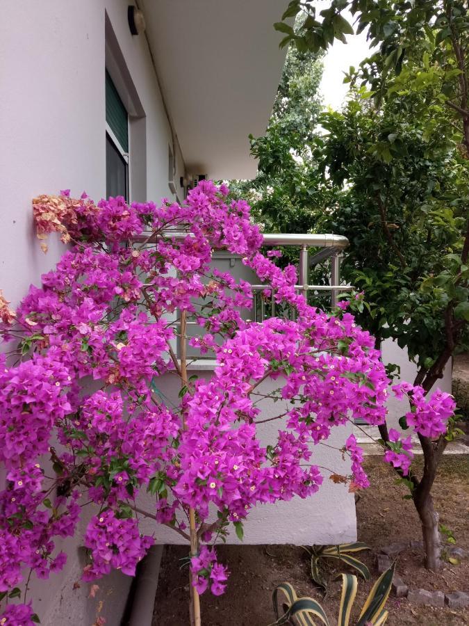 Néa PéramosSofia'S Gardenアパートメント エクステリア 写真